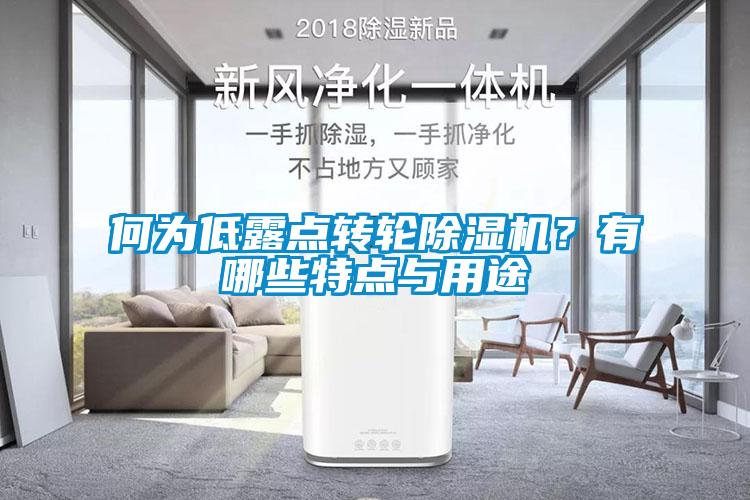 何為低露點轉輪除濕機？有哪些特點與用途