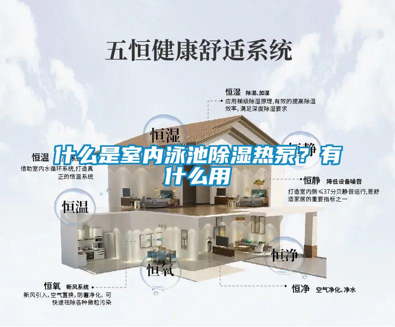 什么是室內泳池除濕熱泵？有什么用