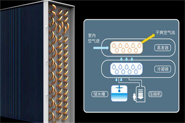 冷庫消毒用什么好？冷庫霧化消毒機(jī)