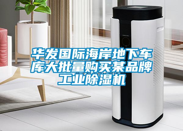 華發(fā)國(guó)際海岸地下車庫(kù)大批量購(gòu)買某品牌工業(yè)除濕機(jī)