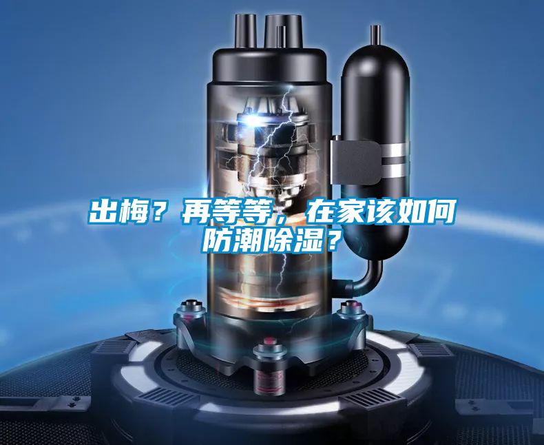 出梅？再等等，在家該如何防潮除濕？