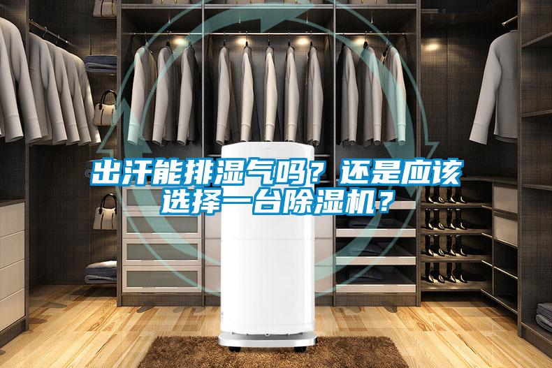 出汗能排濕氣嗎？還是應該選擇一臺除濕機？
