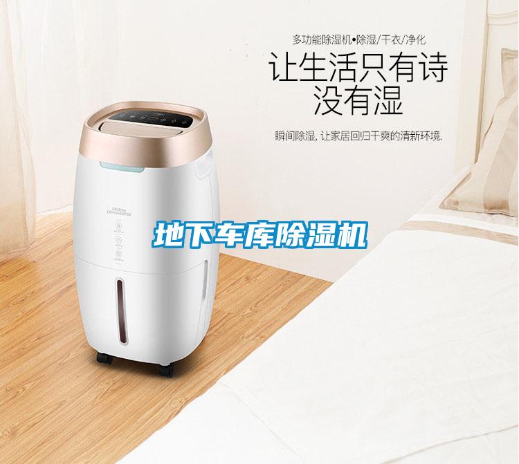 地下車庫(kù)除濕機(jī)