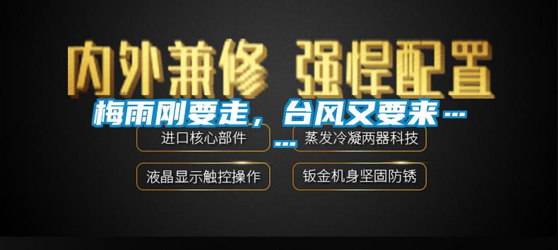 梅雨剛要走，臺風又要來……