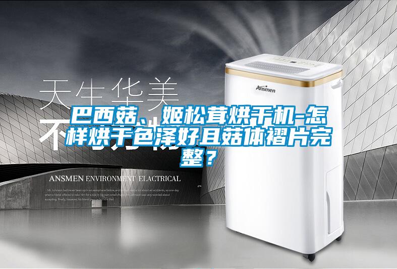 巴西菇、姬松茸烘干機-怎樣烘干色澤好且菇體褶片完整？