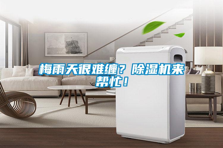 梅雨天很難纏？除濕機來幫忙！