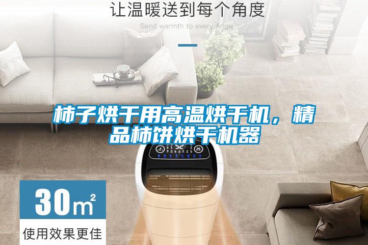 柿子烘干用高溫烘干機，精品柿餅烘干機器