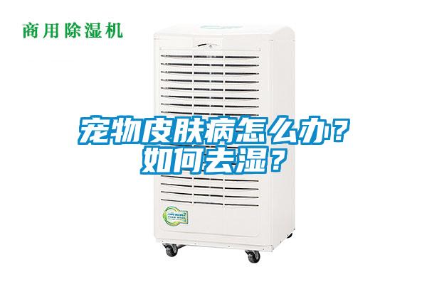 寵物皮膚病怎么辦？如何去濕？
