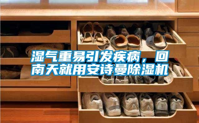 濕氣重易引發疾病，回南天就用安詩曼除濕機