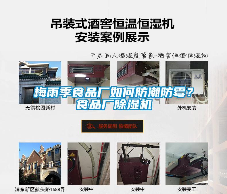 梅雨季食品廠如何防潮防霉？食品廠除濕機