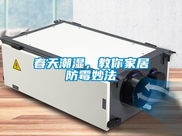 春天潮濕，教你家居防霉妙法