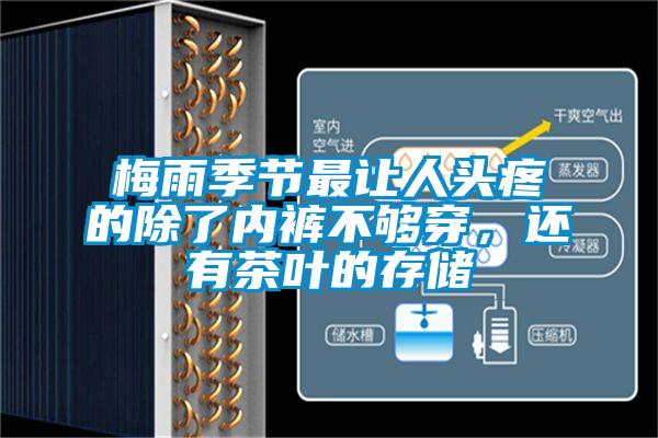 梅雨季節(jié)最讓人頭疼的除了內(nèi)褲不夠穿，還有茶葉的存儲
