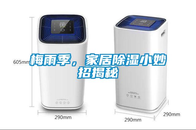 梅雨季，家居除濕小妙招揭秘