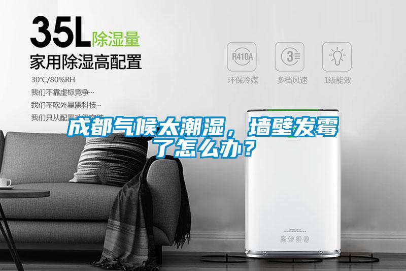 成都氣候太潮濕，墻壁發(fā)霉了怎么辦？
