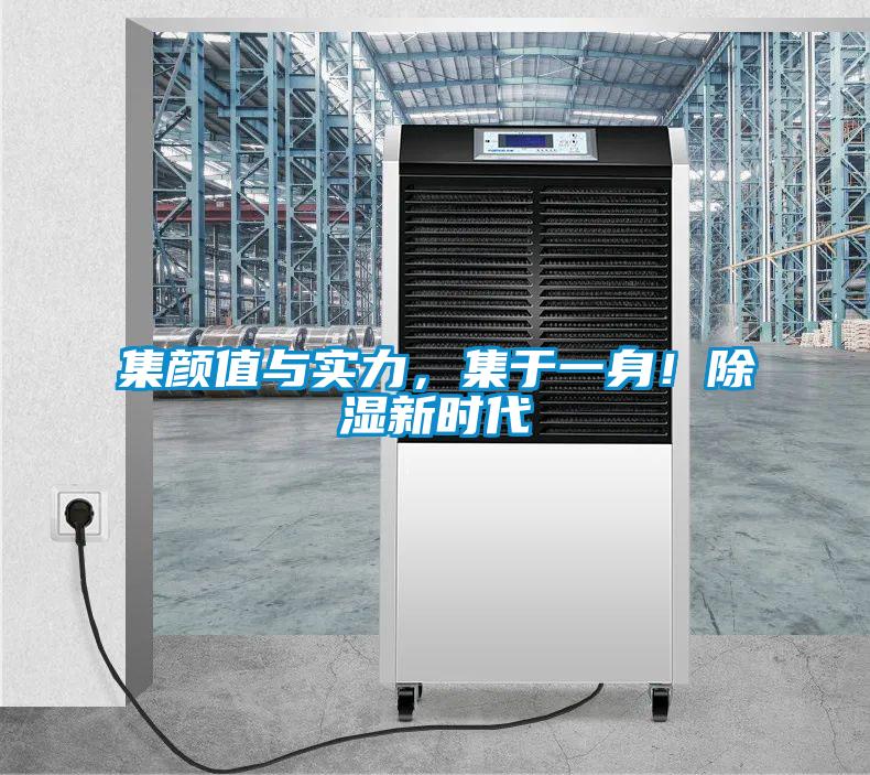 集顏值與實力，集于一身！除濕新時代
