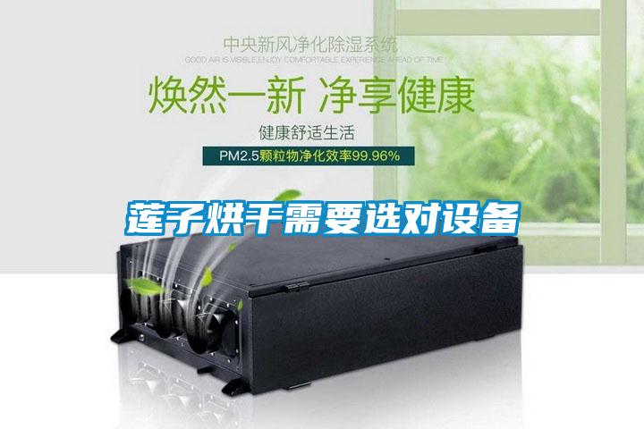 蓮子烘干需要選對(duì)設(shè)備