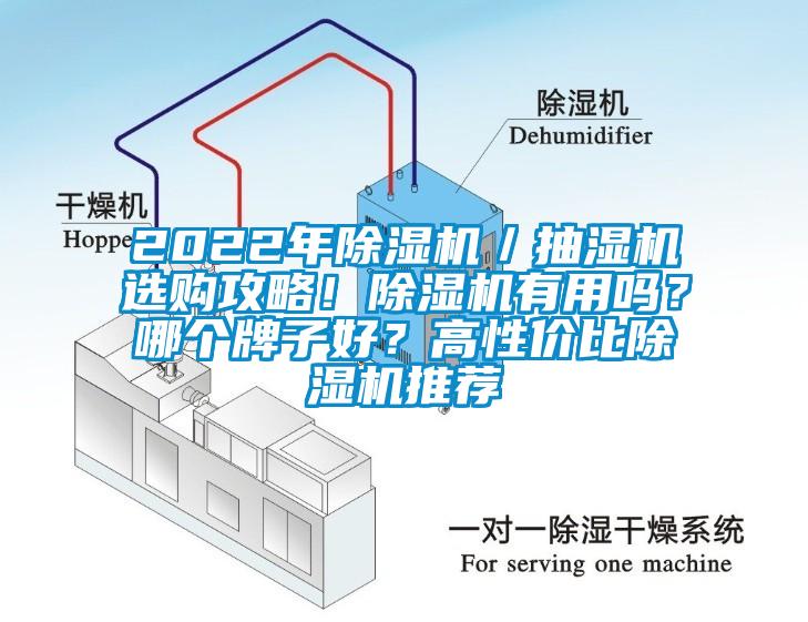 2022年除濕機／抽濕機選購攻略！除濕機有用嗎？哪個牌子好？高性價比除濕機推薦
