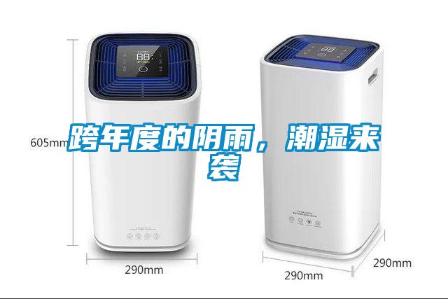跨年度的陰雨，潮濕來襲