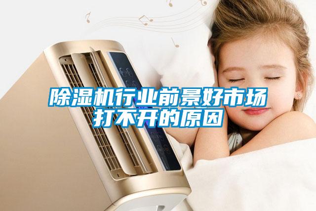 除濕機行業前景好市場打不開的原因