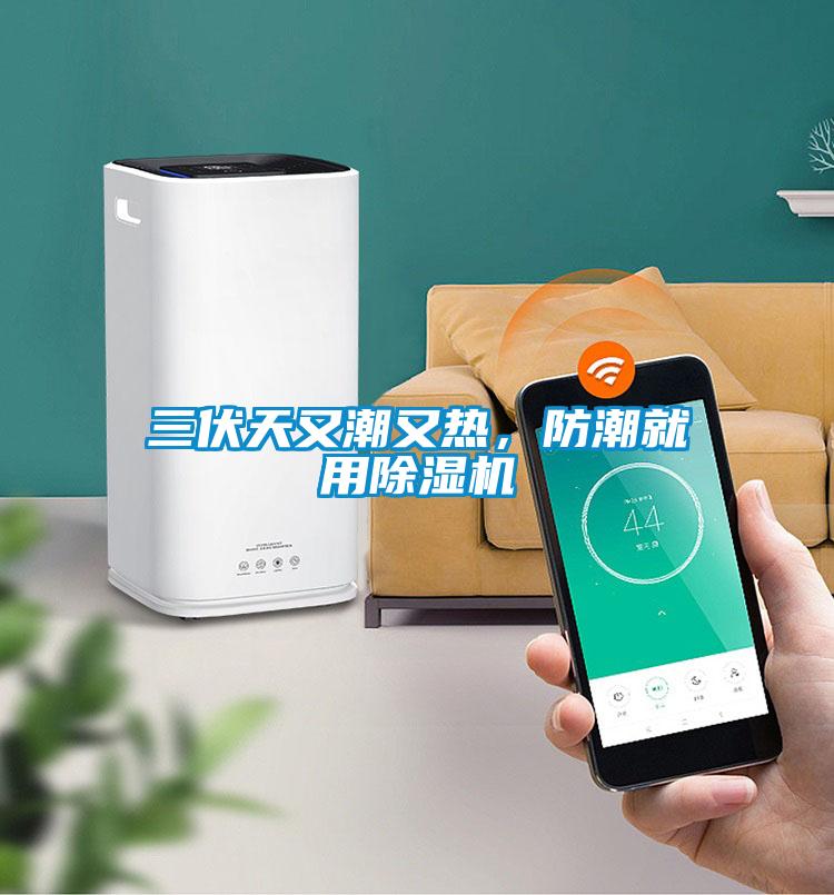 三伏天又潮又熱，防潮就用除濕機