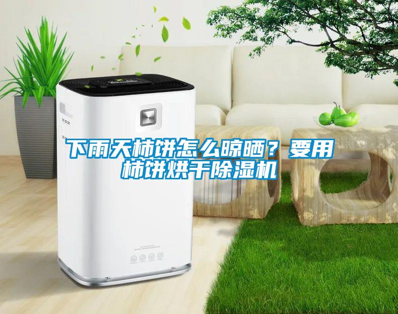 下雨天柿餅怎么晾曬？要用柿餅烘干除濕機