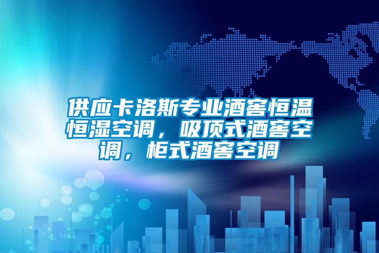 供應卡洛斯專業酒窖恒溫恒濕空調，吸頂式酒窖空調，柜式酒窖空調