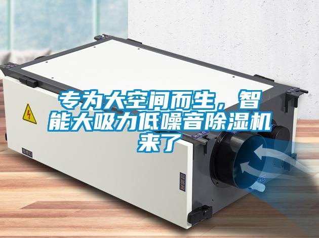 專為大空間而生，智能大吸力低噪音除濕機來了