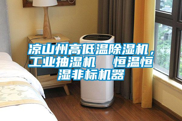 涼山州高低溫除濕機，工業(yè)抽濕機  恒溫恒濕非標機器