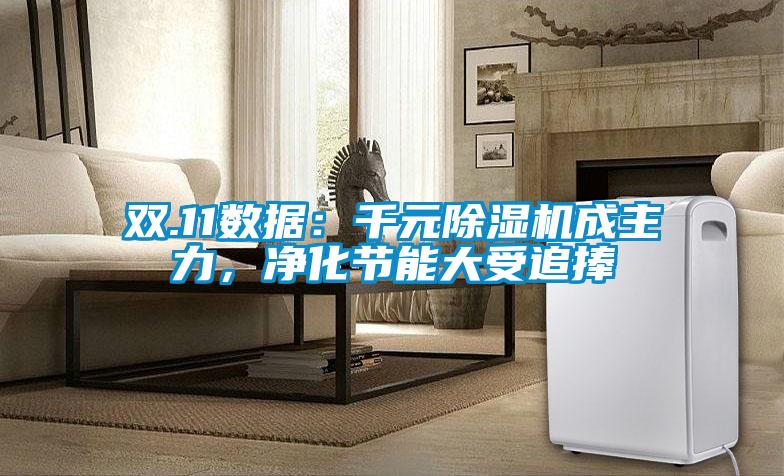 雙.11數(shù)據(jù)：千元除濕機成主力，凈化節(jié)能大受追捧