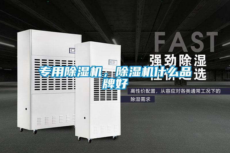 專用除濕機(jī)，除濕機(jī)什么品牌好