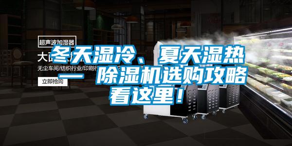 冬天濕冷、夏天濕熱 — 除濕機選購攻略看這里！