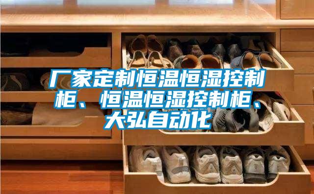 廠家定制恒溫恒濕控制柜、恒溫恒濕控制柜、大弘自動化