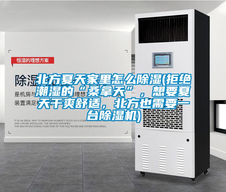 北方夏天家里怎么除濕(拒絕潮濕的“桑拿天”，想要夏天干爽舒適，北方也需要一臺除濕機)