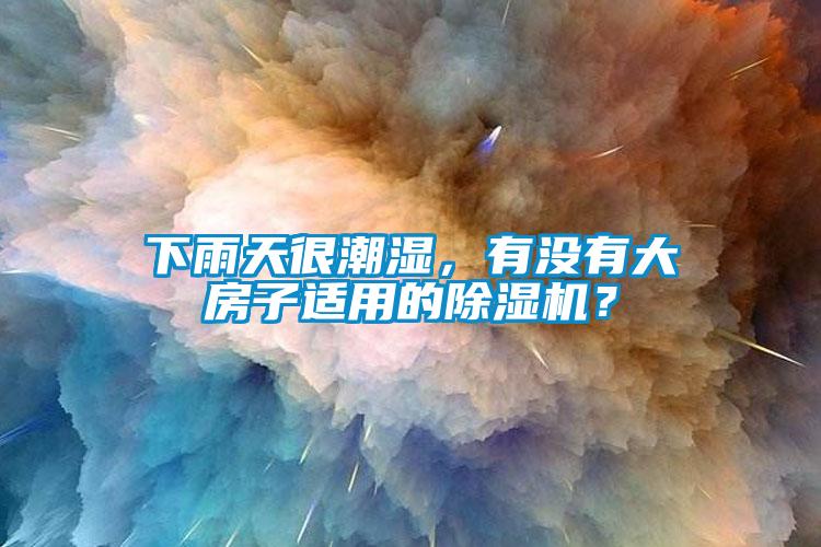 下雨天很潮濕，有沒有大房子適用的除濕機？