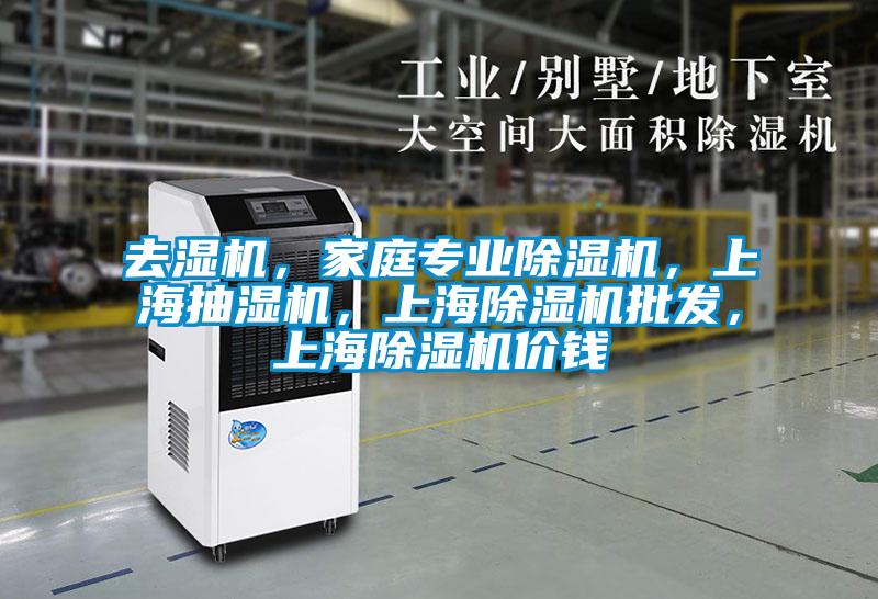 去濕機，家庭專業除濕機，上海抽濕機，上海除濕機批發，上海除濕機價錢