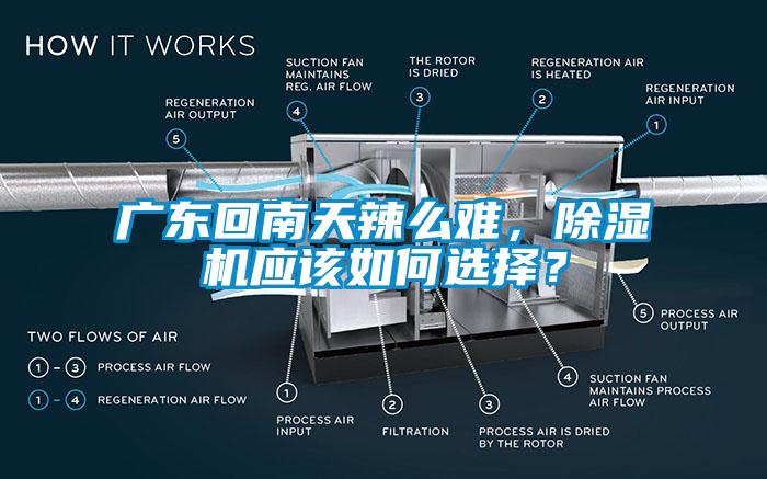 廣東回南天辣么難，除濕機應該如何選擇？