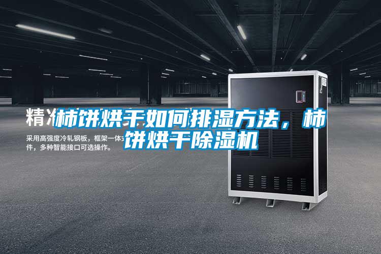 柿餅烘干如何排濕方法，柿餅烘干除濕機