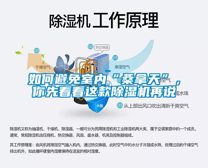 如何避免室內“桑拿天”，你先看看這款除濕機再說
