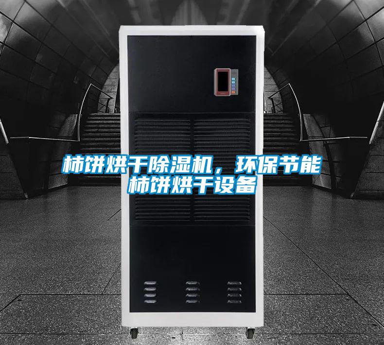 柿餅烘干除濕機，環保節能柿餅烘干設備