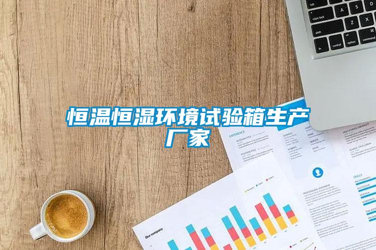 恒溫恒濕環(huán)境試驗箱生產(chǎn)廠家