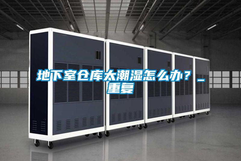 地下室倉(cāng)庫(kù)太潮濕怎么辦？_重復(fù)