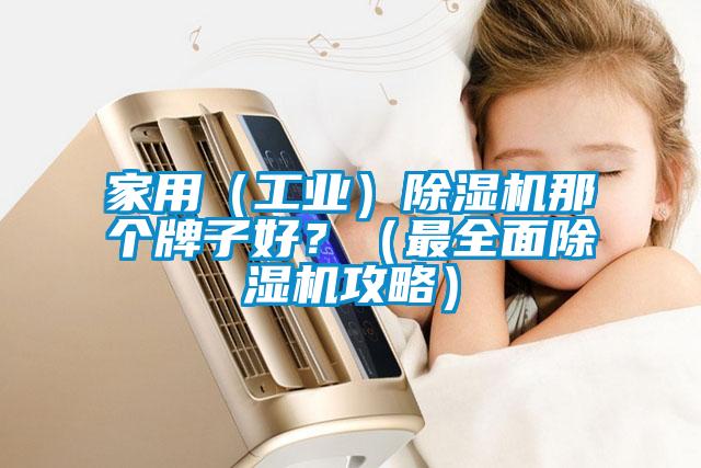 家用（工業）除濕機那個牌子好？（最全面除濕機攻略）