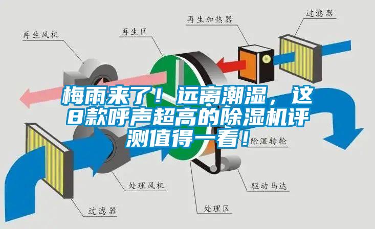 梅雨來了！遠(yuǎn)離潮濕，這8款呼聲超高的除濕機(jī)評測值得一看！