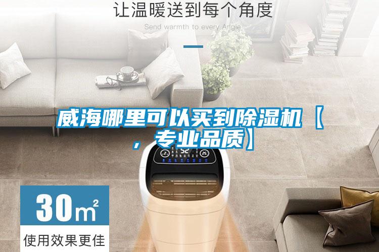 威海哪里可以買到除濕機【，專業品質】