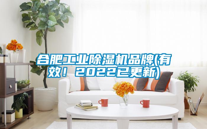 合肥工業(yè)除濕機(jī)品牌(有效！2022已更新)