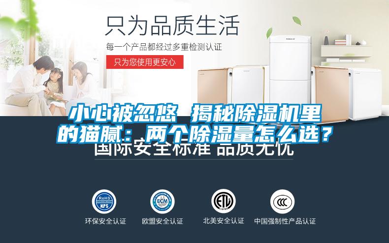 小心被忽悠 揭秘除濕機里的貓膩：兩個除濕量怎么選？