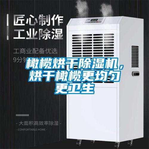 橄欖烘干除濕機，烘干橄欖更均勻更衛生