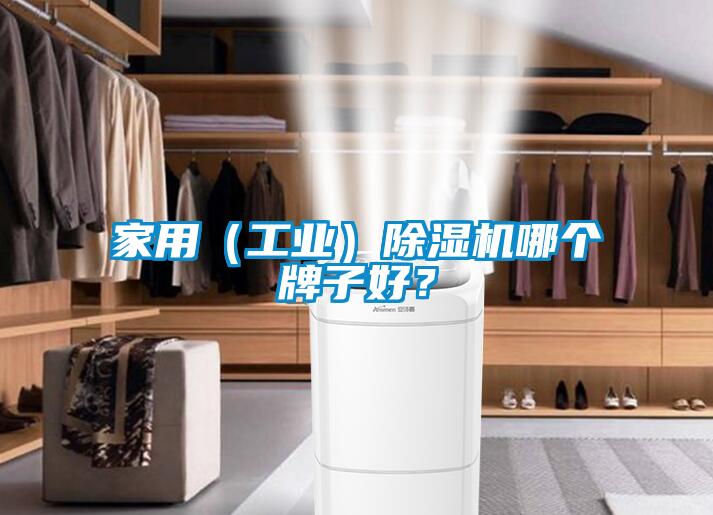 家用（工業(yè)）除濕機(jī)哪個牌子好？