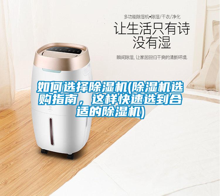 如何選擇除濕機(除濕機選購指南，這樣快速選到合適的除濕機)