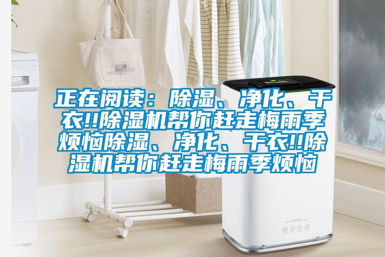 正在閱讀：除濕、凈化、干衣!!除濕機幫你趕走梅雨季煩惱除濕、凈化、干衣!!除濕機幫你趕走梅雨季煩惱
